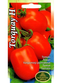 Pomodoro 'Torquay' H, 15 semi