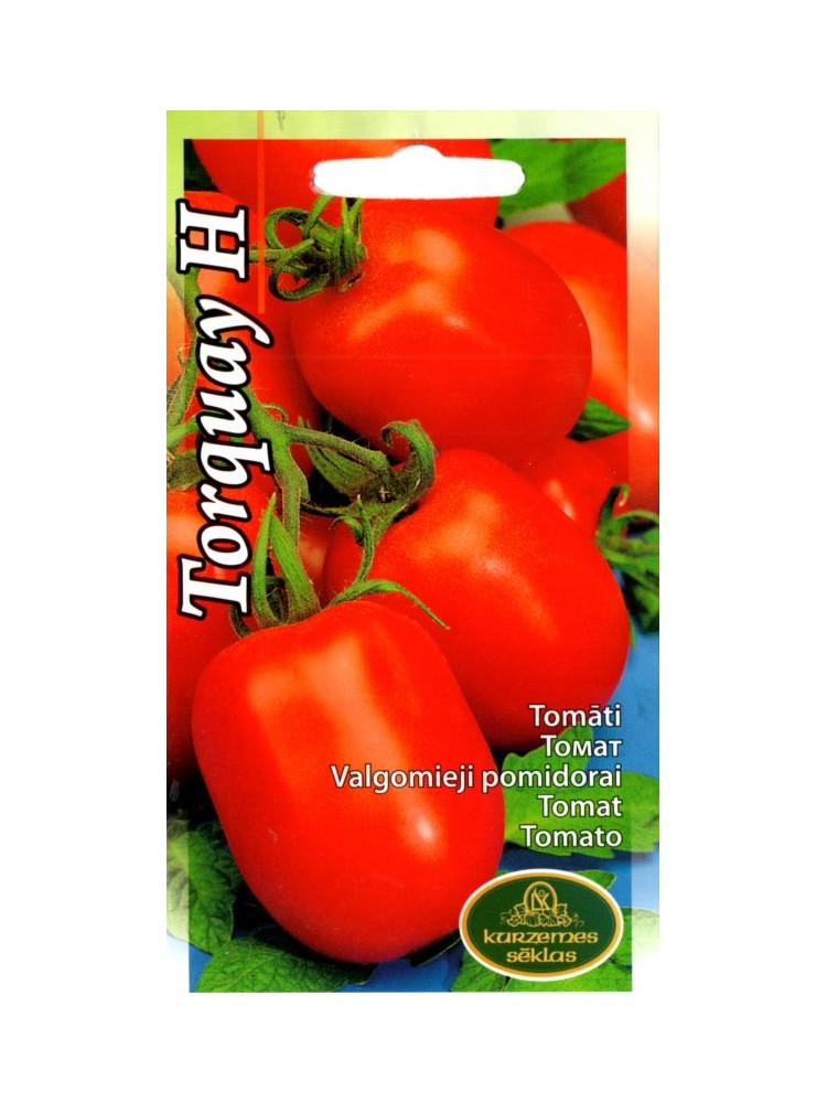 Pomodoro 'Torquay' H, 15 semi