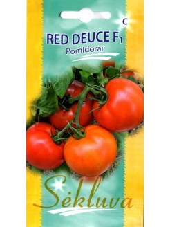 Pomodoro 'Red Deuce' F1, 10 semi