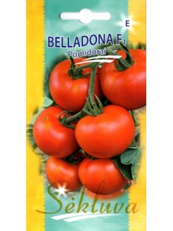 Pomodoro 'Belladona' F1, 10 semi