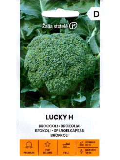 Broccoli 'Lucky' H, 30 seeds