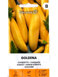 Courgette 'Goldena' 2 g
