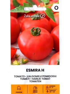 Pomodoro 'Esmira' H, 10 semi