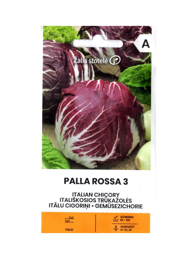 Chicorée endive 'Pala rosa 3' 1 g