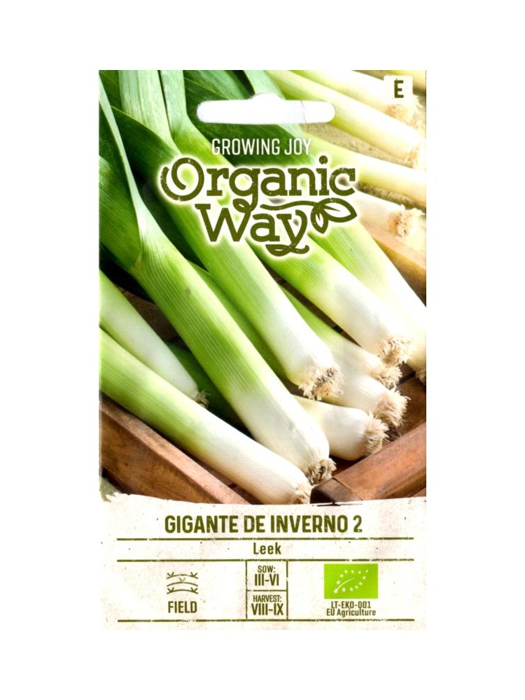 Leek 'Gigante de Inverno 2' 1 g