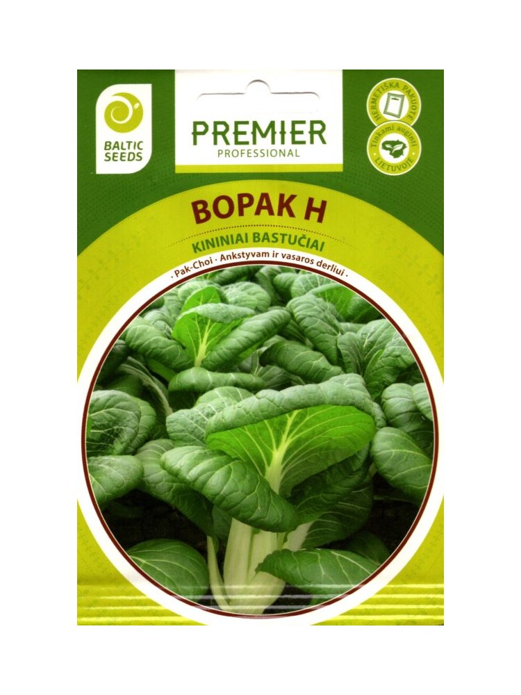 Bok choy 'Bopak' H, 30 seeds