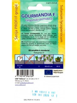 Tomat 'Gourmandia' H,  8 seemned