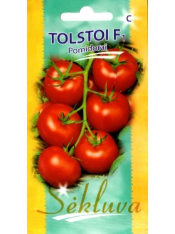 Tomat 'Tolstoi' H, 20 seemet