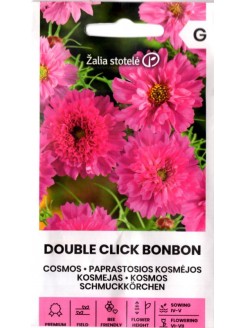 Kosmos harilik  'Double Click Bonbon Cranbierries' 0,2 g