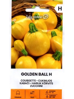 Zucchini 'Gold Ball' H, 1 g