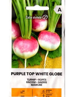 Turnip 'Purple Top White Globe' 3 g