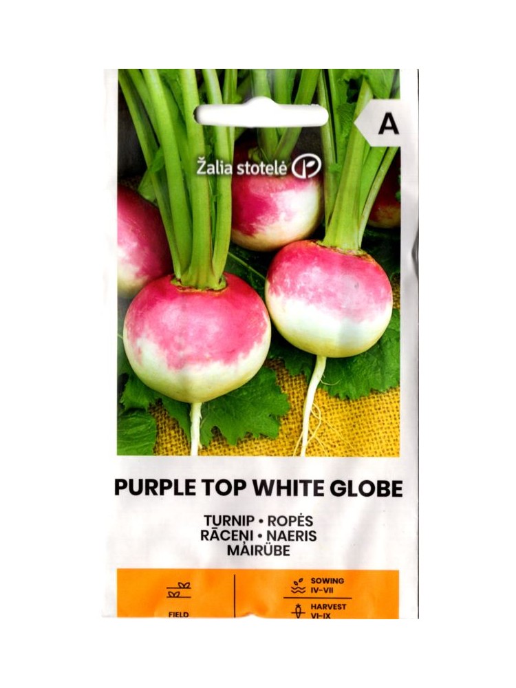 Turnip 'Purple Top White Globe' 3 g