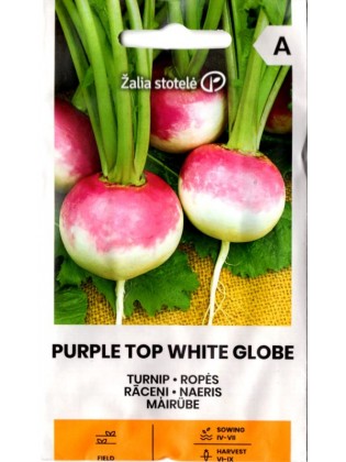 Turnepši 'Purple Top White Globe' 3 g