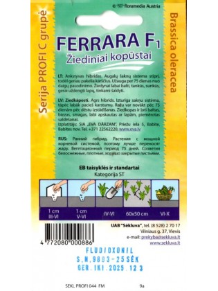 Cauliflower 'Ferrara' H, 25 seeds