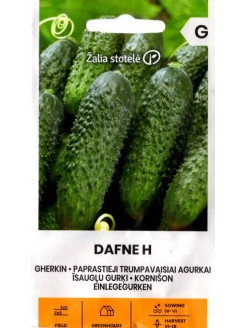 Gurķi 'Dafne' H, 0,5 g
