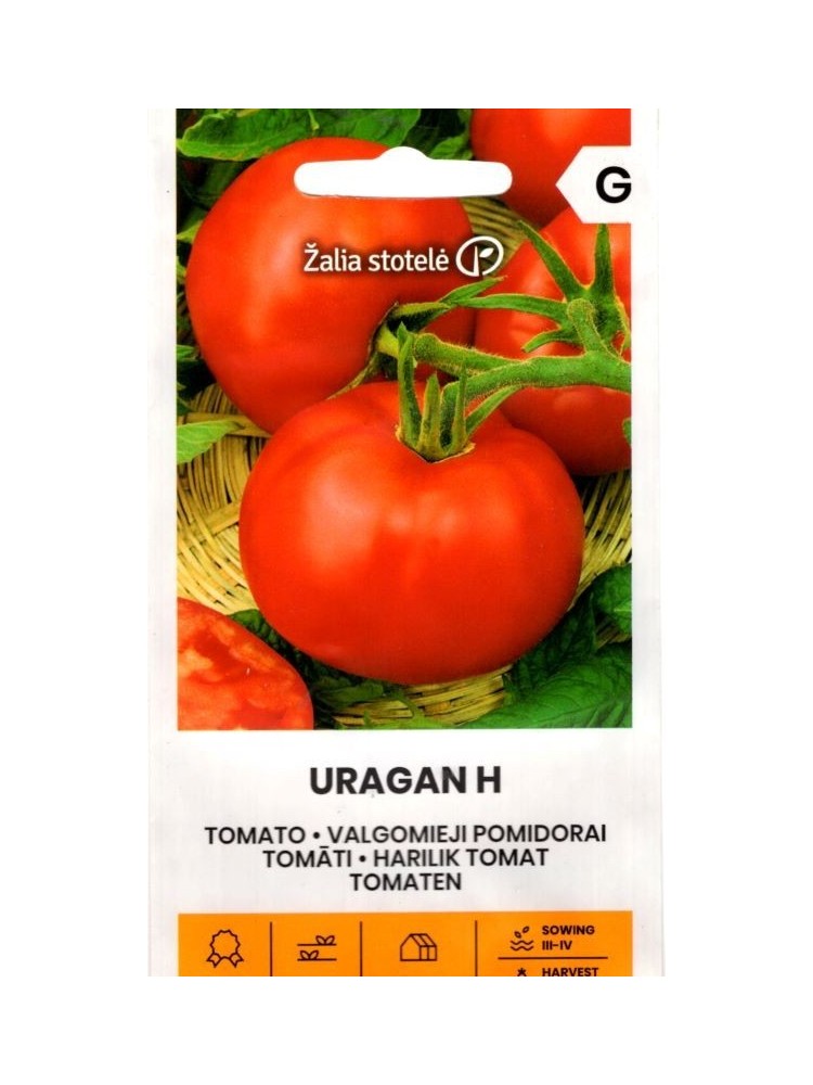 Pomidorai valgomieji 'Uragan' H