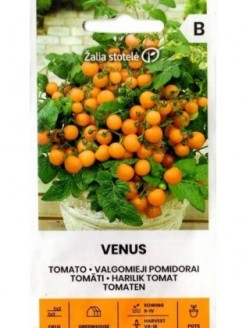 Pomidorai valgomieji 'Venus' 0