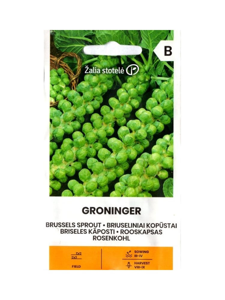 Kopūstai briuseliniai 'Groninger' 1 g