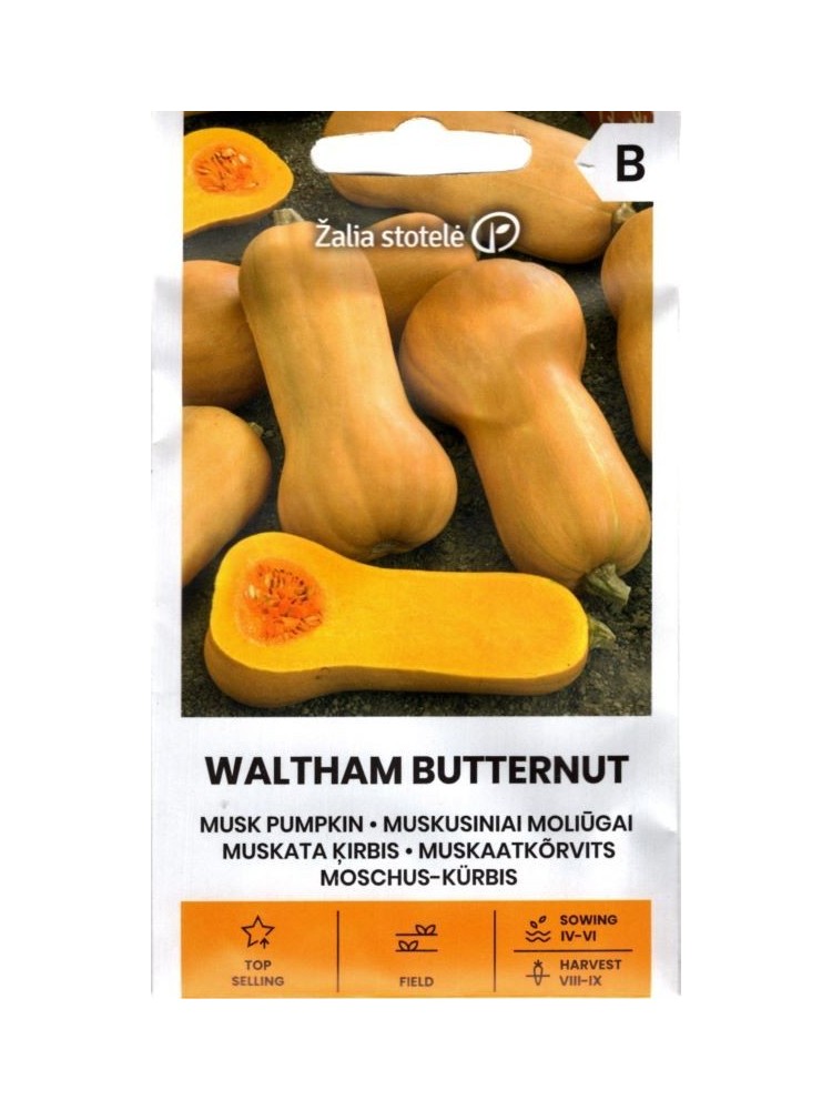Moliūgai kvapieji 'Waltham Butternut'