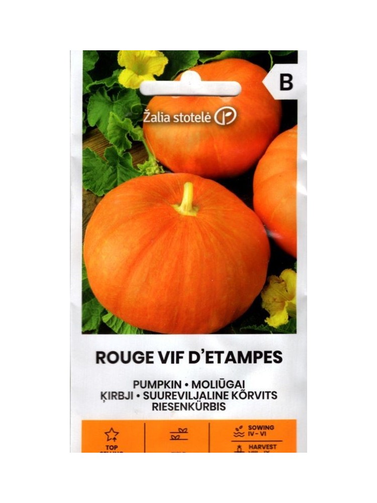 Moliūgai didieji 'Rouge Vif D'Etampes' 2 g