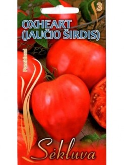 Pomidorai 'Oxheart' 0