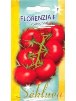 Pomidorai valgomieji 'Florenzia' H