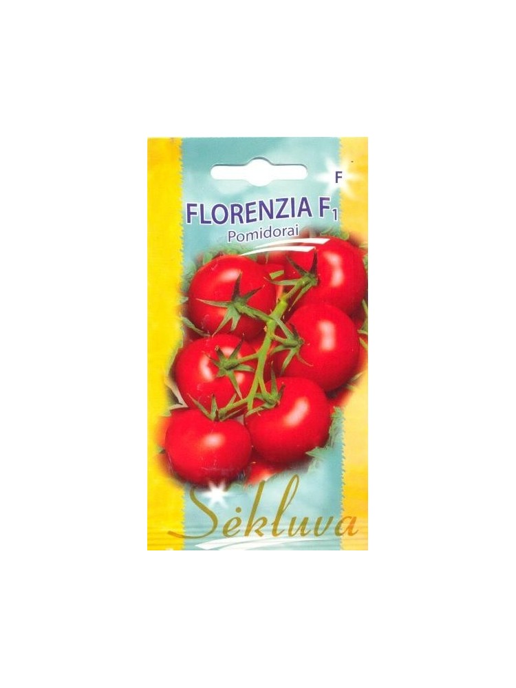 Pomidorai valgomieji 'Florenzia' H