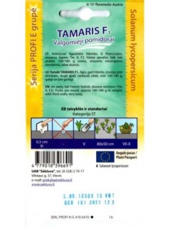 Pomidorai 'Tamaris' H
