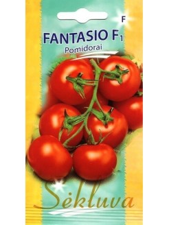 Pomidorai 'Fantasio' H