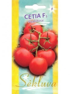 Pomidorai valgomieji 'Cetia' H