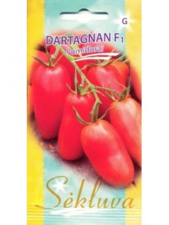 Pomidorai valgomieji 'Dartagnan' H