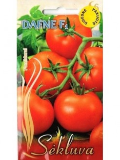Pomidorai valgomieji 'Dafne' H