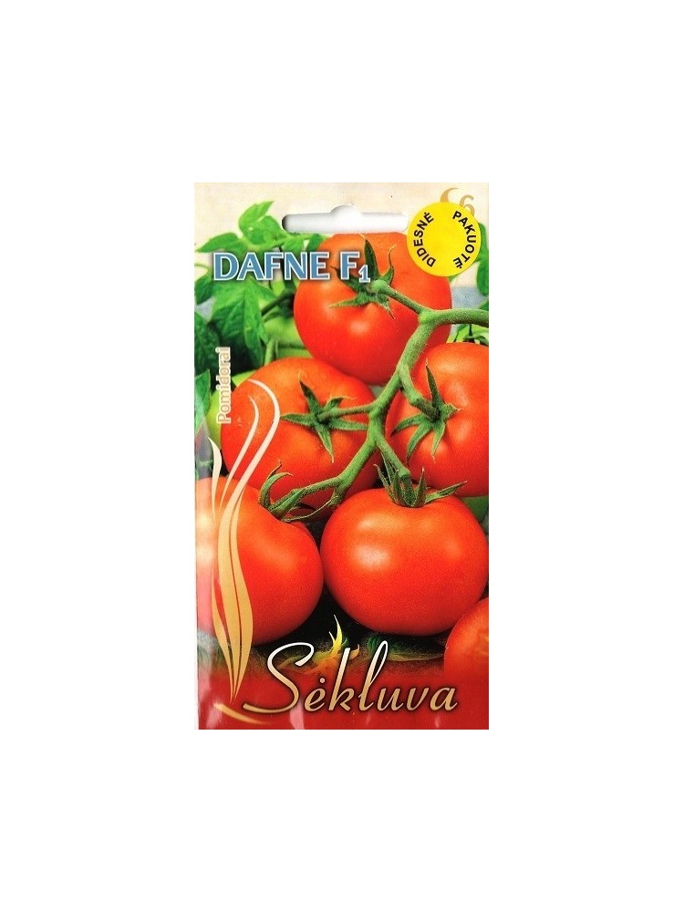 Pomidorai valgomieji 'Dafne' H
