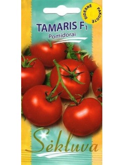Pomidorai valgomieji 'Tamaris' H