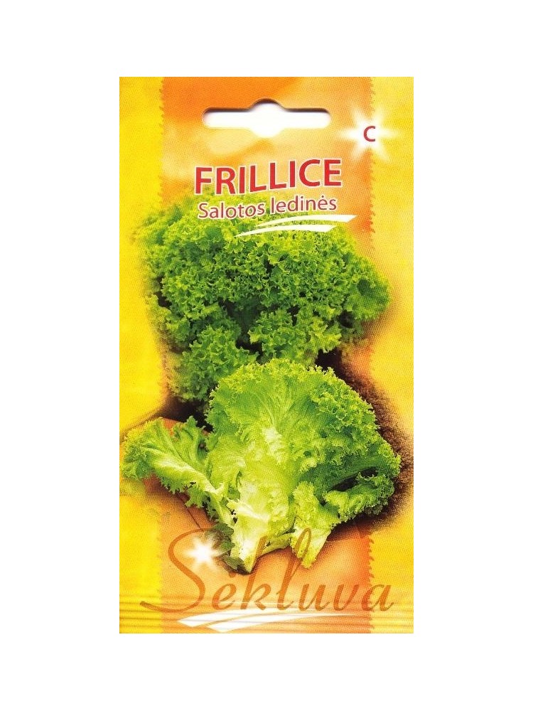 Salotos sėjamosios 'Frillice' 0