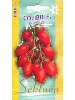 Pomidorai valgomieji 'Colibri' H