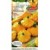 Zucchine patisson 'Patisson orange' 1 g