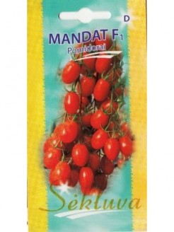Pomidorai valgomieji 'Mandat' H