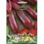 Beetroot 'Cylindra' 30 g