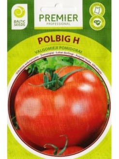 Pomidorai valgomieji 'Polbig'  H