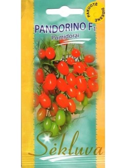 Pomidorai valgomieji 'Pandorino' H