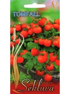 Pomidorai valgomieji 'Tomfall'