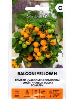 Pomodoro 'Balconi Yellow'...