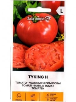 Pomidorai valgomieji 'Tyking' H