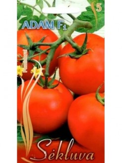 Pomidorai valgomieji 'Adam' H
