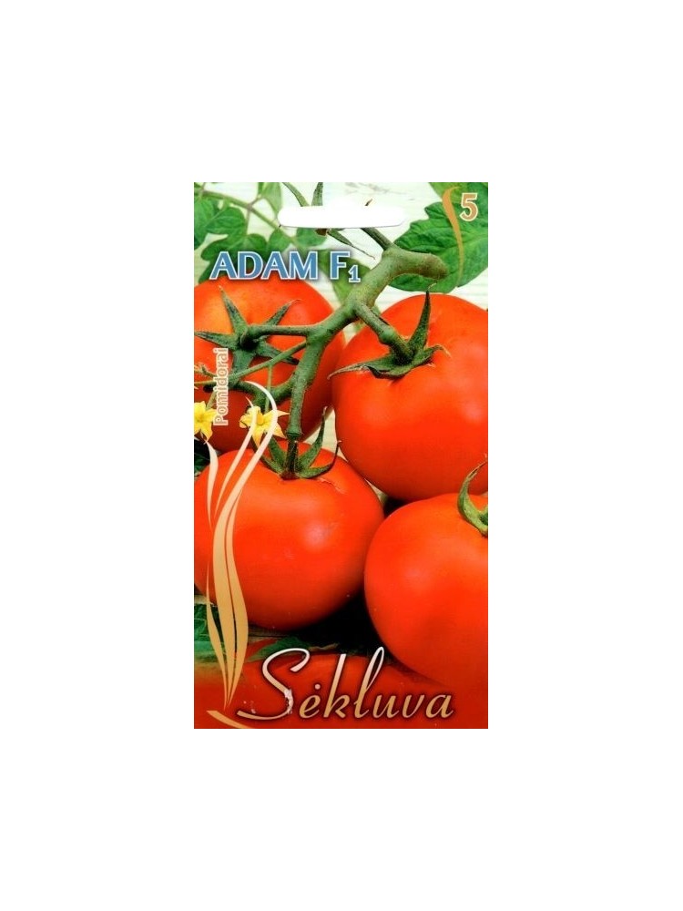Pomidorai valgomieji 'Adam' H