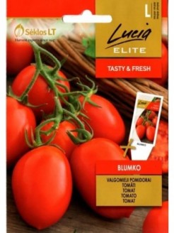 Pomidorai valgomieji 'Blumko' H