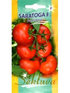 Pomidorai valgomieji 'Saratoga' H