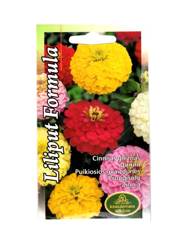 Common zinnia 'Lilliput Formula', 1 g