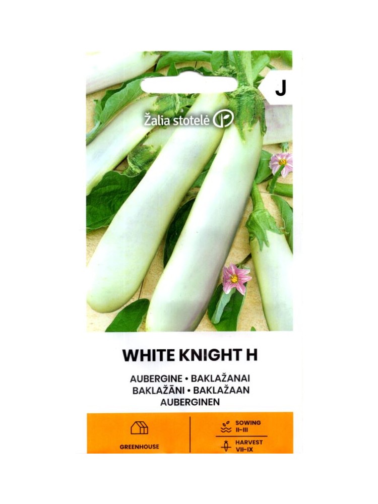 Aubergine 'White Knight' H, 10 graines